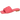 Eglantine 1