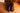 Brody 2|hero_img
