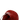 Sam 15
