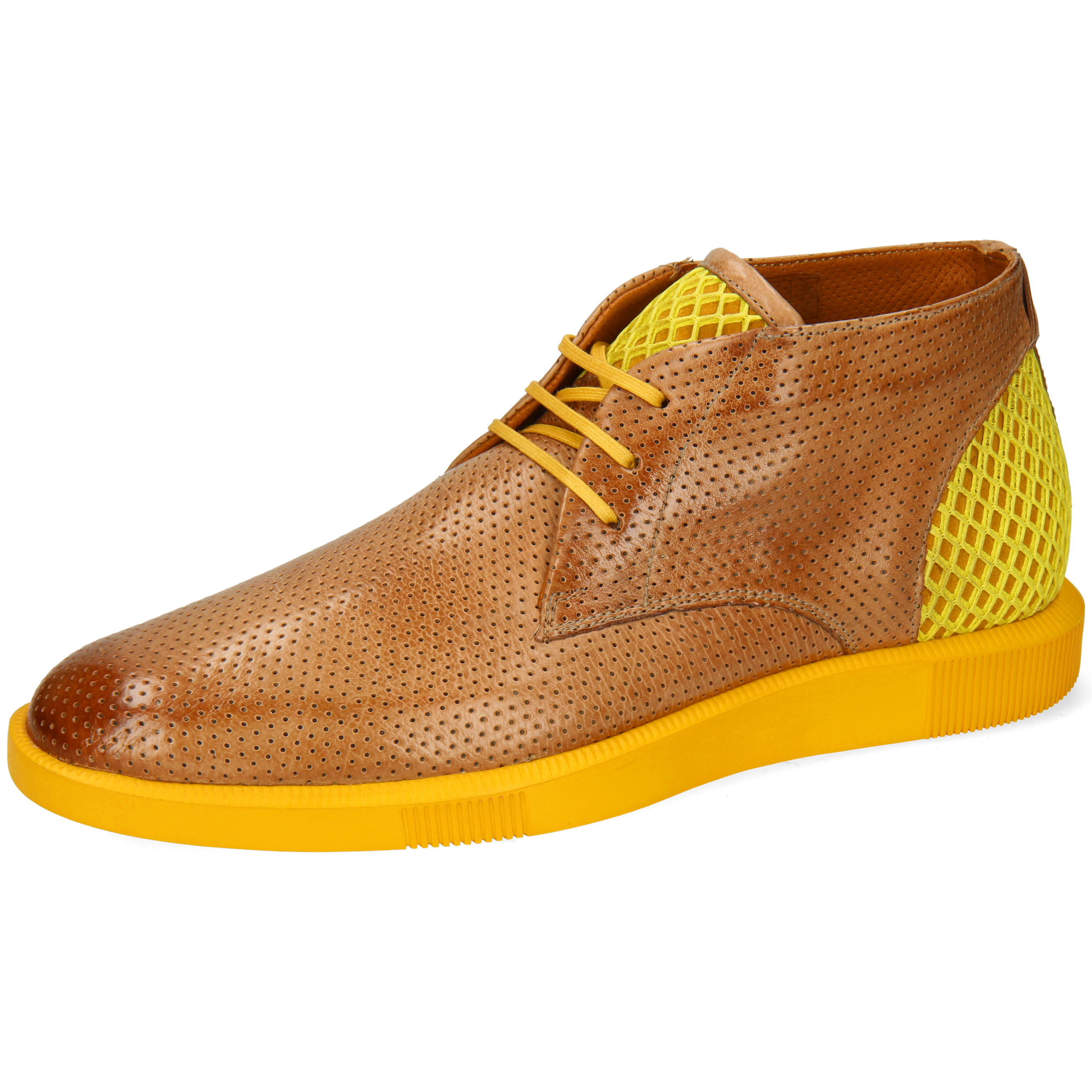 Newton 2