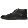 Newton 2